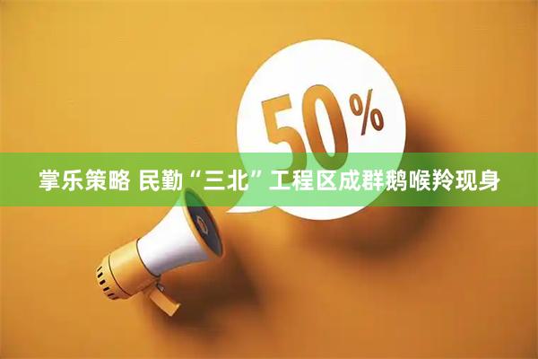 掌乐策略 民勤“三北”工程区成群鹅喉羚现身