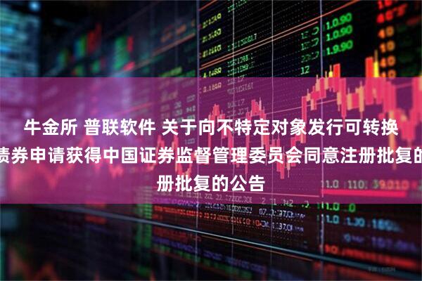 牛金所 普联软件 关于向不特定对象发行可转换公司债券申请获得中国证券监督管理委员会同意注册批复的公告